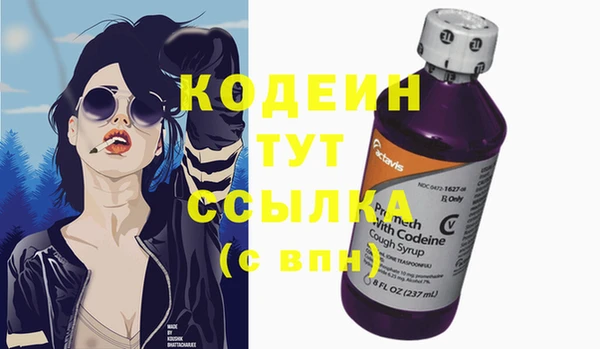 мяу мяу кристалл Переславль-Залесский