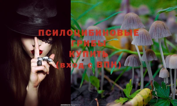 прущий лед Аркадак