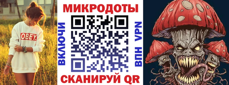 Галлюциногенные грибы Psilocybe  цены   Очёр 