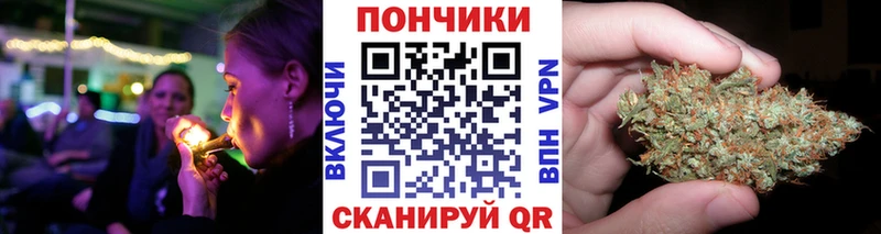 купить наркоту  MEGA зеркало  Бошки Шишки планчик  Очёр 